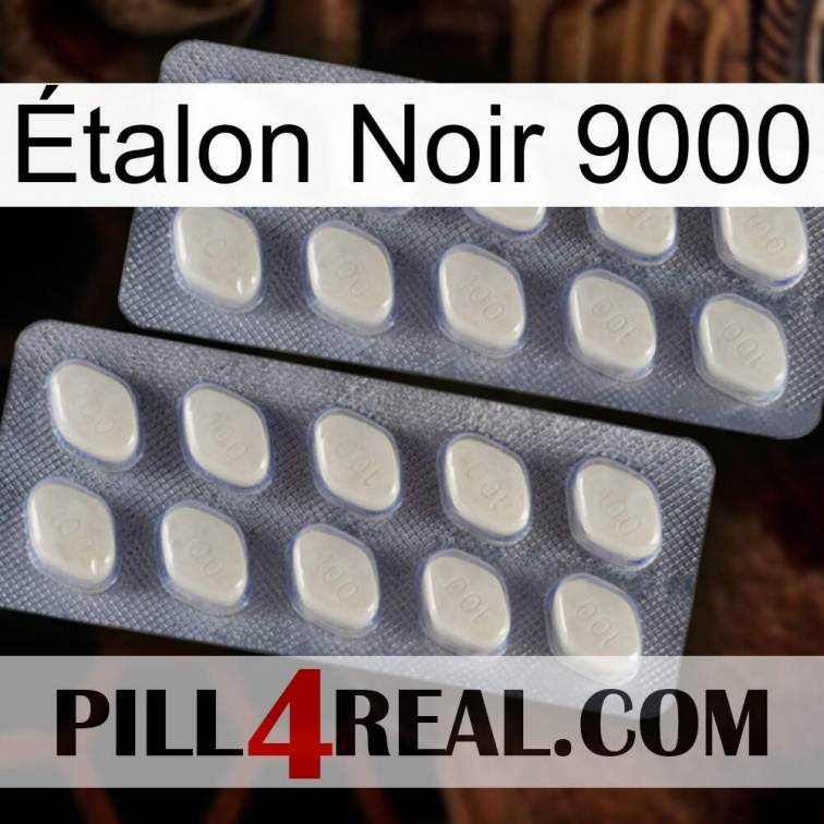 Étalon Noir 9000 07
